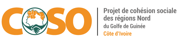 Logo COSO