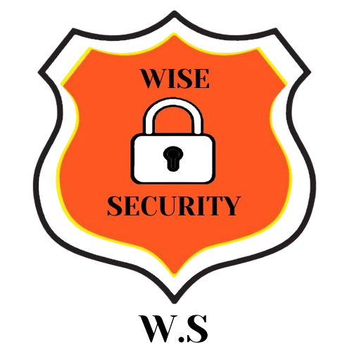 Logo Wise Sécurité