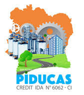 Logo PIDUCAS